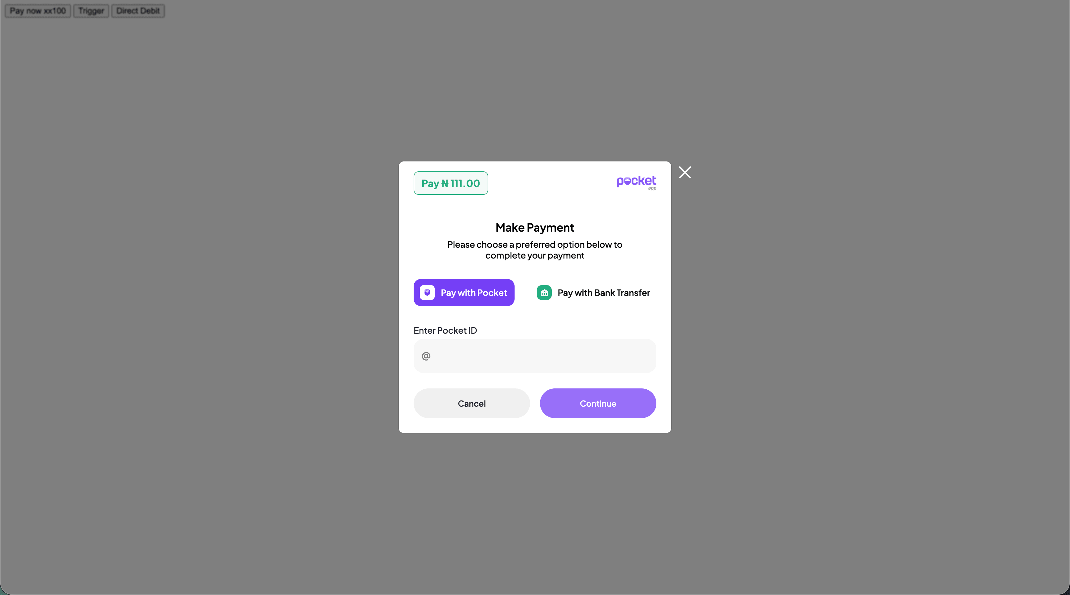 Pay with Pocket checkout initialization